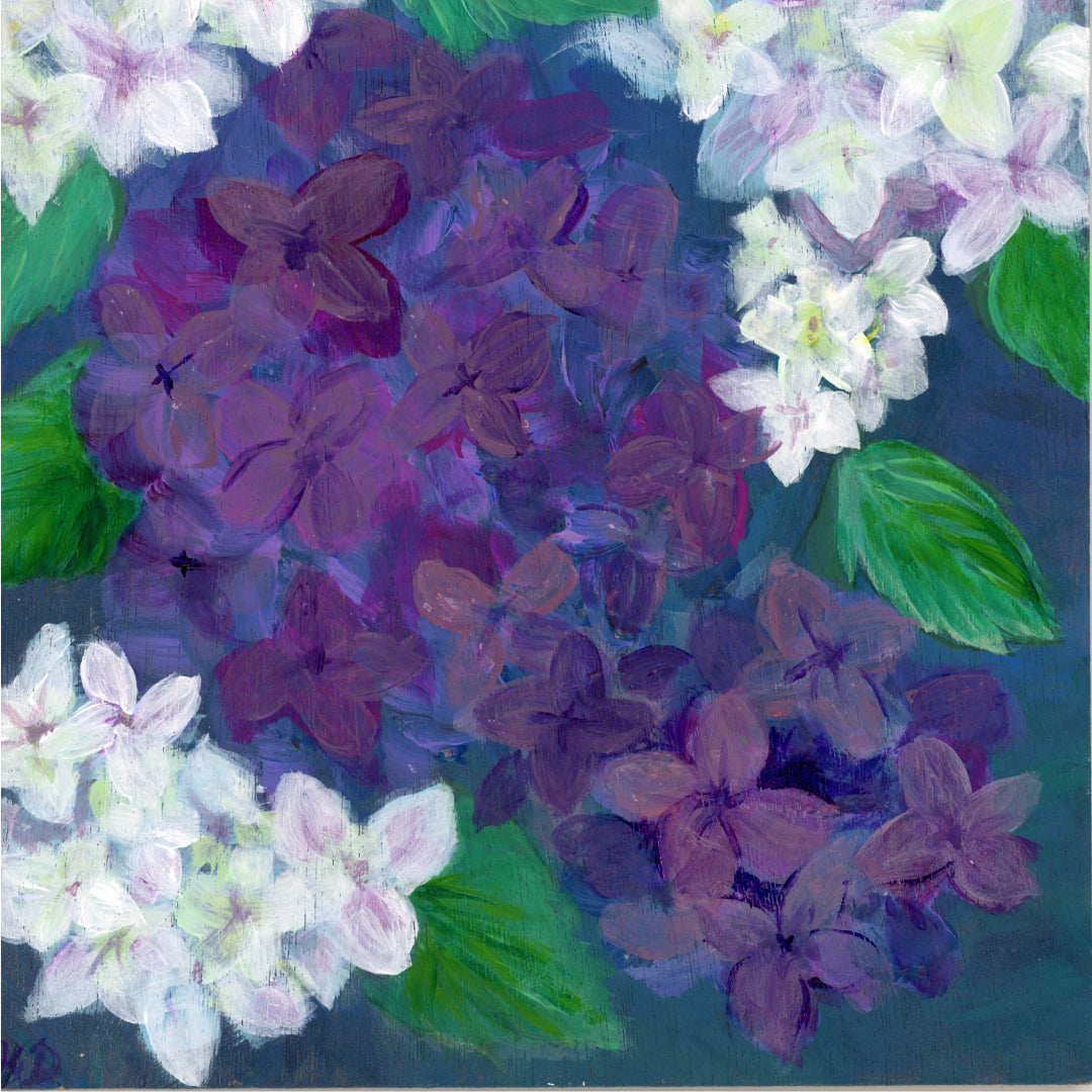 "Hydrangeas"